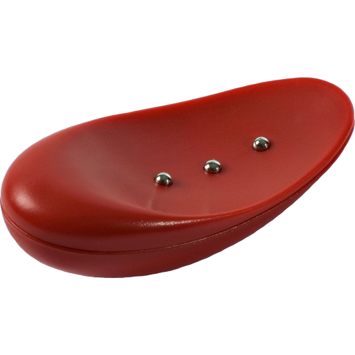 盲ろう者のための流星ウォッチ