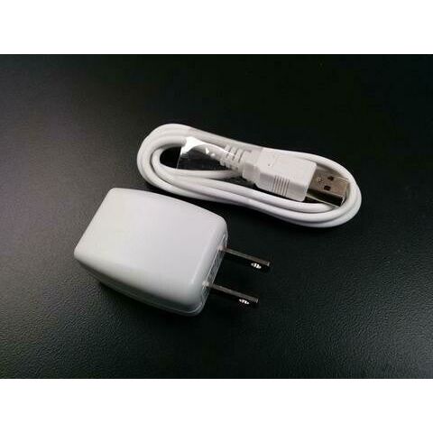 Thinklabs One Charger + Cable
